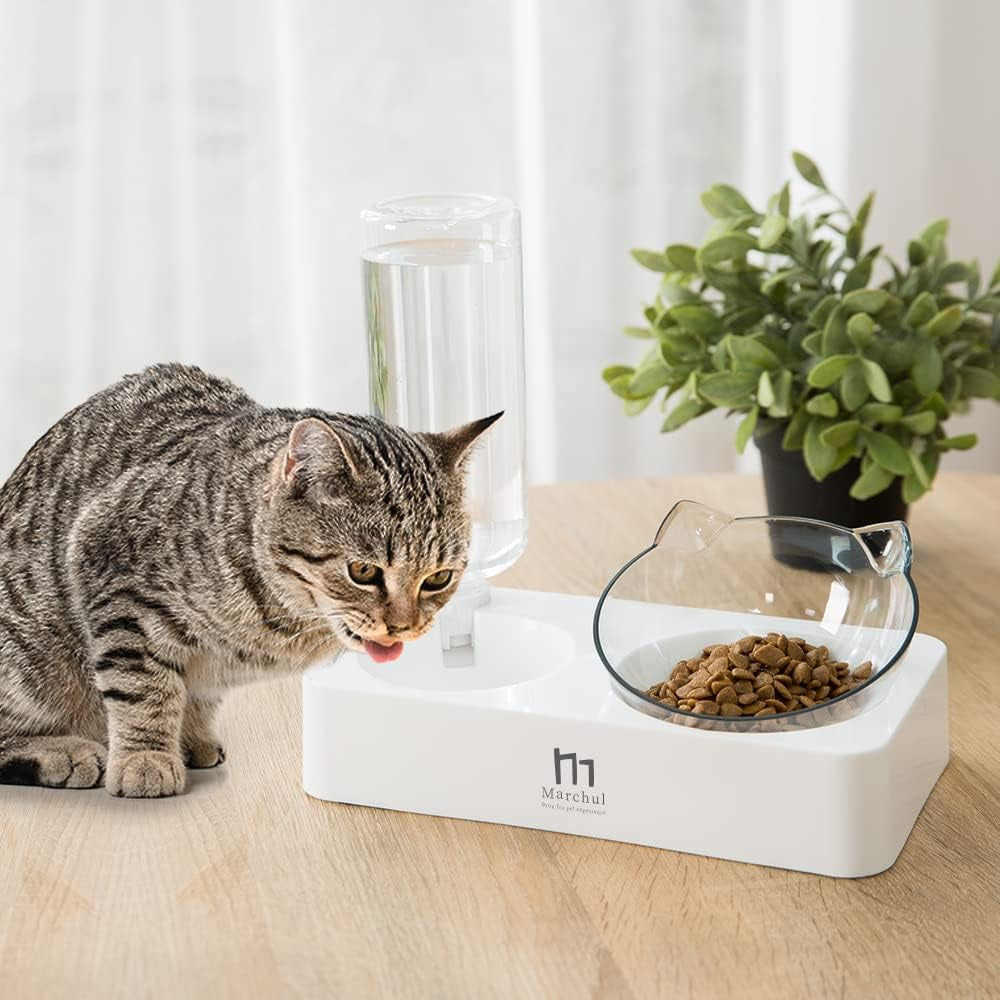 Double Elevated Dog Cat Bowl, Pets Water and Food Bowl Set, 15° Raised Tilted Dishes Indoor for Kitten, Puppies, Small or Medium Size Dogs Cats