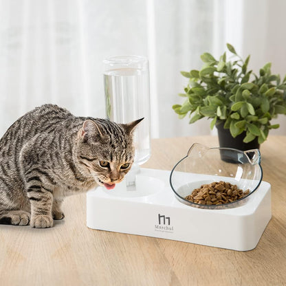 Double Elevated Dog Cat Bowl, Pets Water and Food Bowl Set, 15° Raised Tilted Dishes Indoor for Kitten, Puppies, Small or Medium Size Dogs Cats